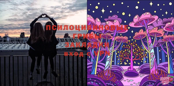 МДПВ Козельск