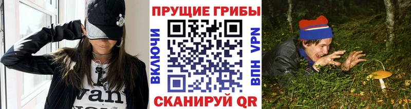 Галлюциногенные грибы прущие грибы наркошоп Малгобек