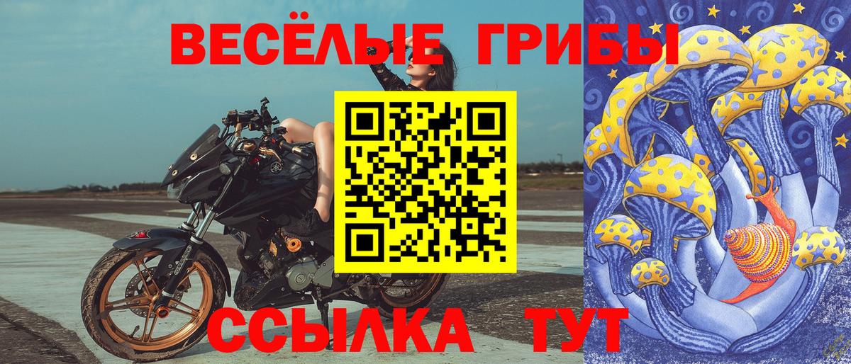 Псилоцибиновые грибы MAGIC MUSHROOMS  Вход с VPN  Малгобек 