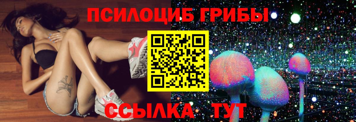 Псилоцибиновые грибы мицелий Малгобек